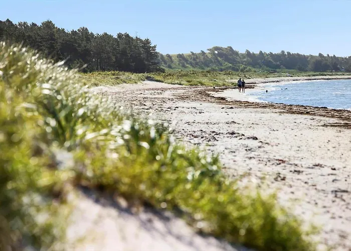 84249-knebel-skraningen-13 Knebel